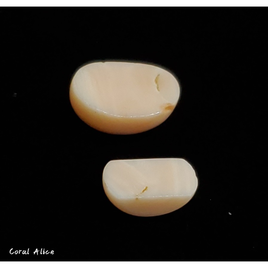 🌟Coral珊寶手作-天然淺水珊瑚造型裸石 CO2P1-362-細節圖6