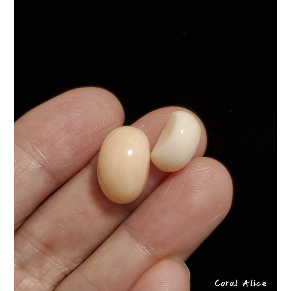 🌟Coral珊寶手作-天然淺水珊瑚造型裸石 CO2P1-362-細節圖7