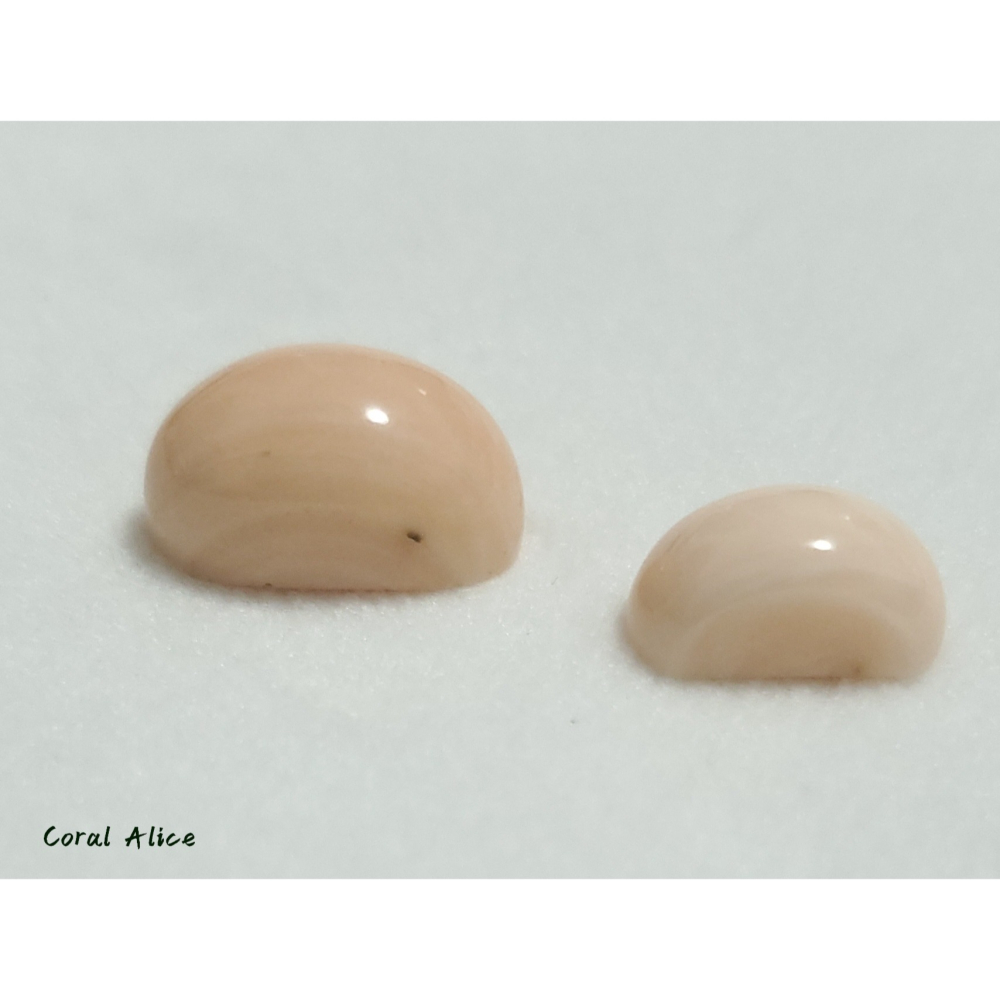 🌟Coral珊寶手作-天然淺水珊瑚造型裸石 CO2P1-362-細節圖8