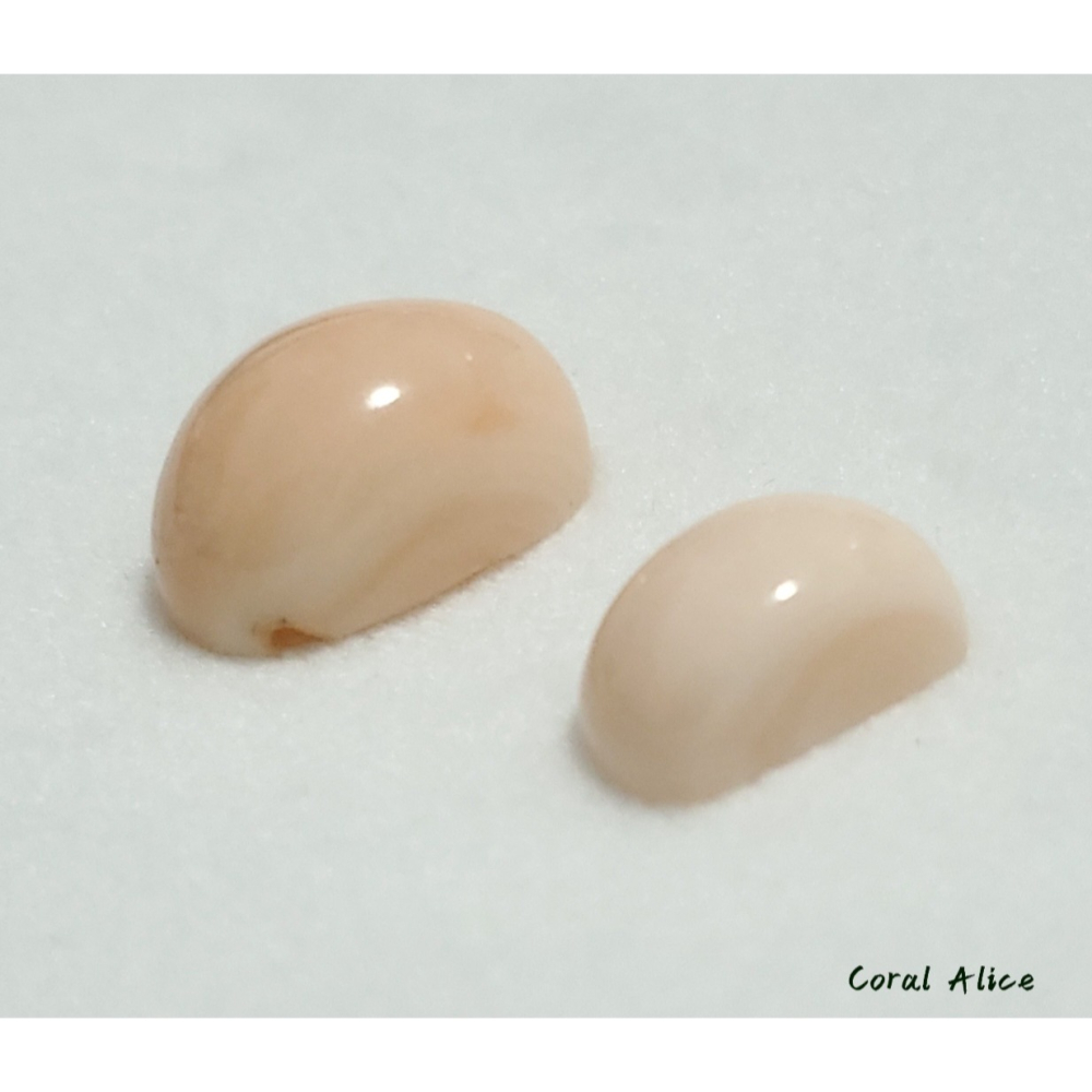 🌟Coral珊寶手作-天然淺水珊瑚造型裸石 CO2P1-362-細節圖9