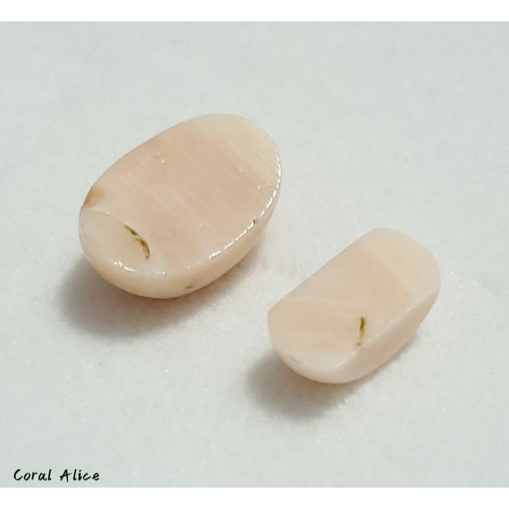 🌟Coral珊寶手作-天然淺水珊瑚造型裸石 CO2P1-362-細節圖10