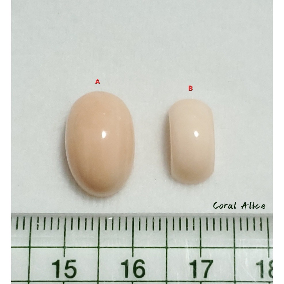 🌟Coral珊寶手作-天然淺水珊瑚造型裸石 CO2P1-362-細節圖11