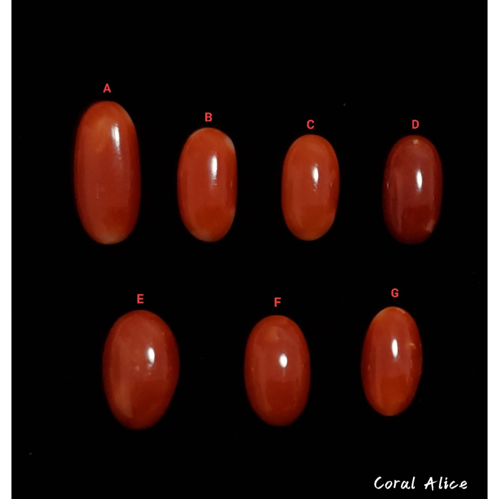 🌟Coral珊寶手作-天然阿卡珊瑚長蛋面裸石 CO2P1-354-細節圖2