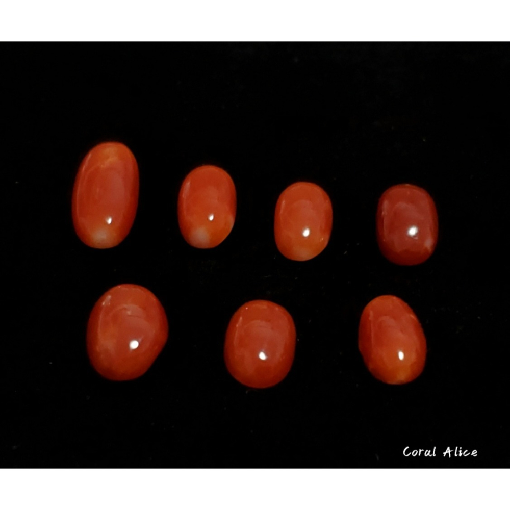 🌟Coral珊寶手作-天然阿卡珊瑚長蛋面裸石 CO2P1-354-細節圖3