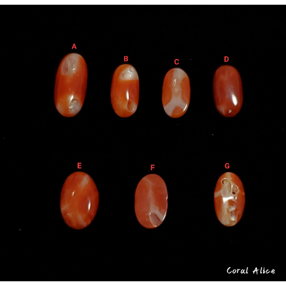 🌟Coral珊寶手作-天然阿卡珊瑚長蛋面裸石 CO2P1-354-細節圖5