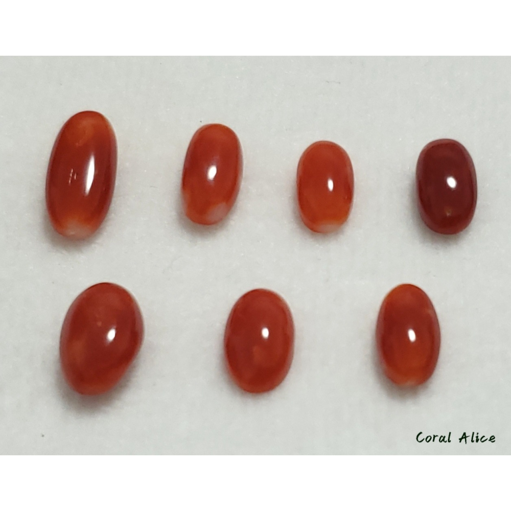 🌟Coral珊寶手作-天然阿卡珊瑚長蛋面裸石 CO2P1-354-細節圖7