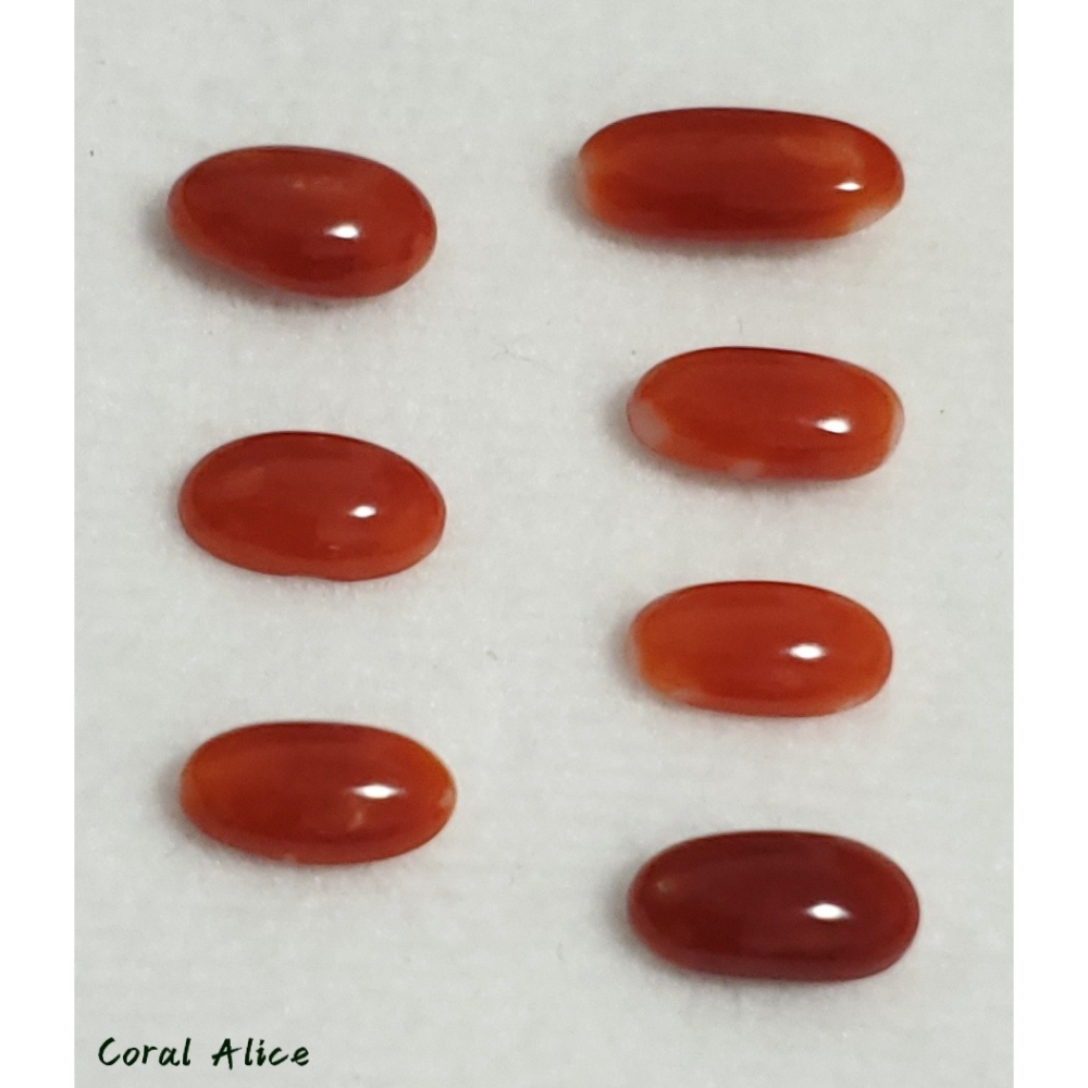 🌟Coral珊寶手作-天然阿卡珊瑚長蛋面裸石 CO2P1-354-細節圖8