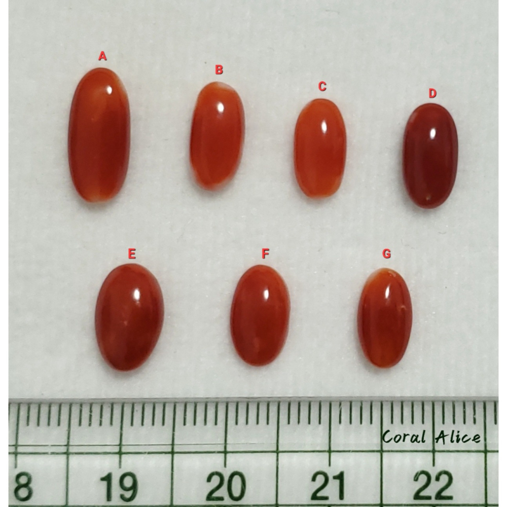 🌟Coral珊寶手作-天然阿卡珊瑚長蛋面裸石 CO2P1-354-細節圖11