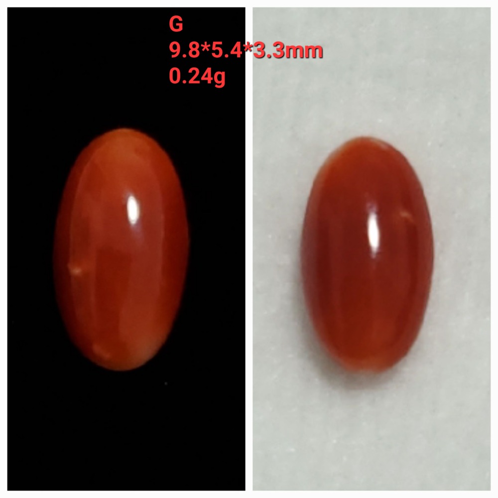 🌟Coral珊寶手作-天然阿卡珊瑚長蛋面裸石 CO2P1-354-規格圖11