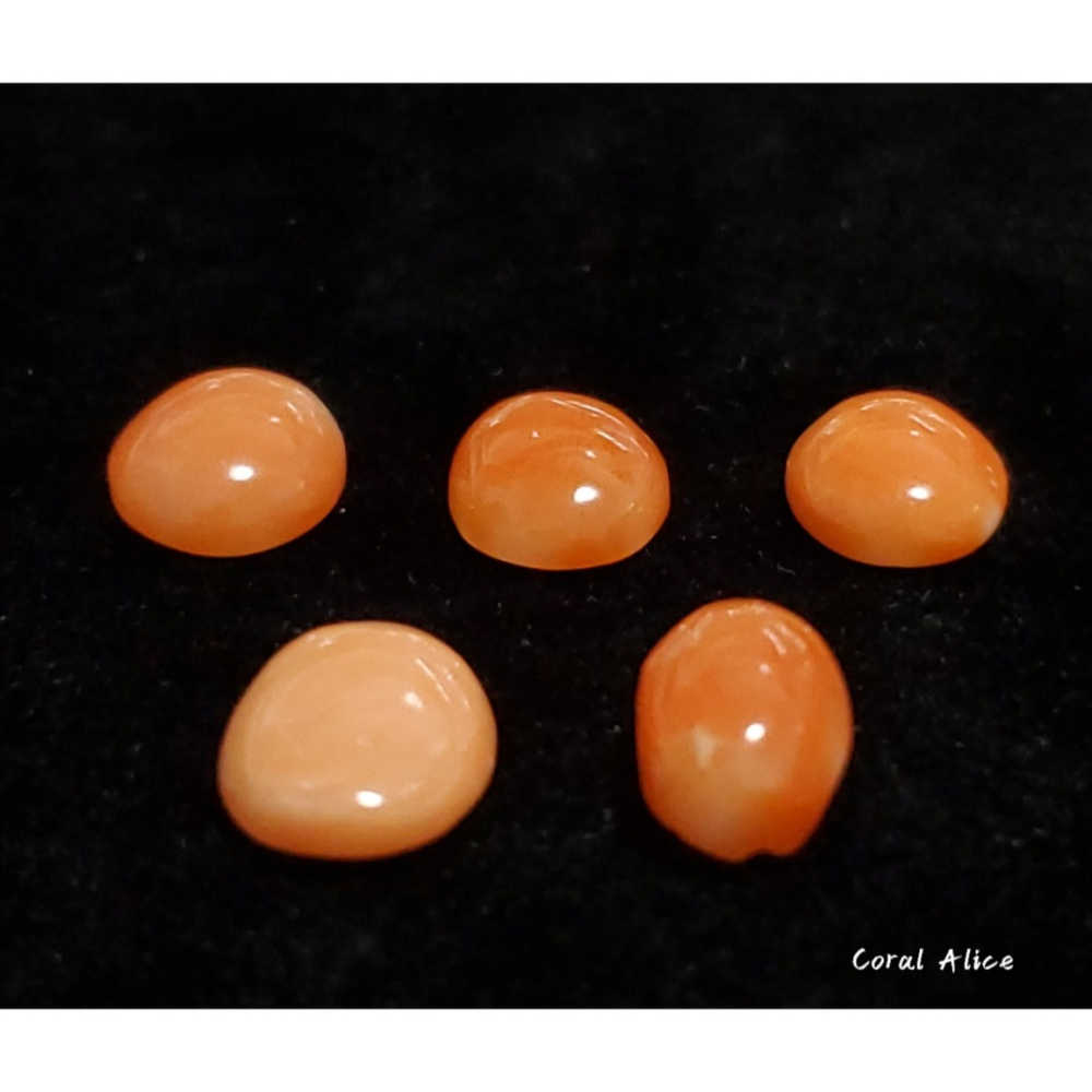🌟Coral珊寶手作-天然阿卡珊瑚(淺色)蛋面裸石 10.8-11.2mm CO2P1-376-細節圖3