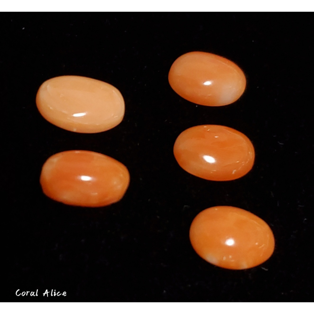 🌟Coral珊寶手作-天然阿卡珊瑚(淺色)蛋面裸石 10.8-11.2mm CO2P1-376-細節圖4