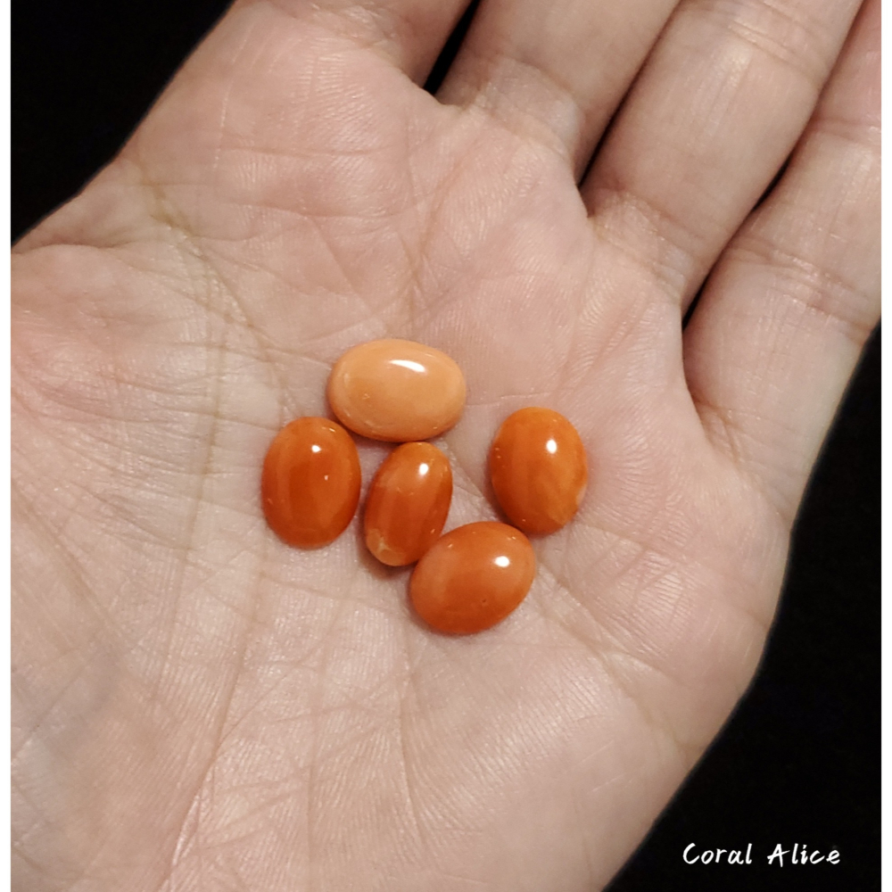 🌟Coral珊寶手作-天然阿卡珊瑚(淺色)蛋面裸石 10.8-11.2mm CO2P1-376-細節圖6