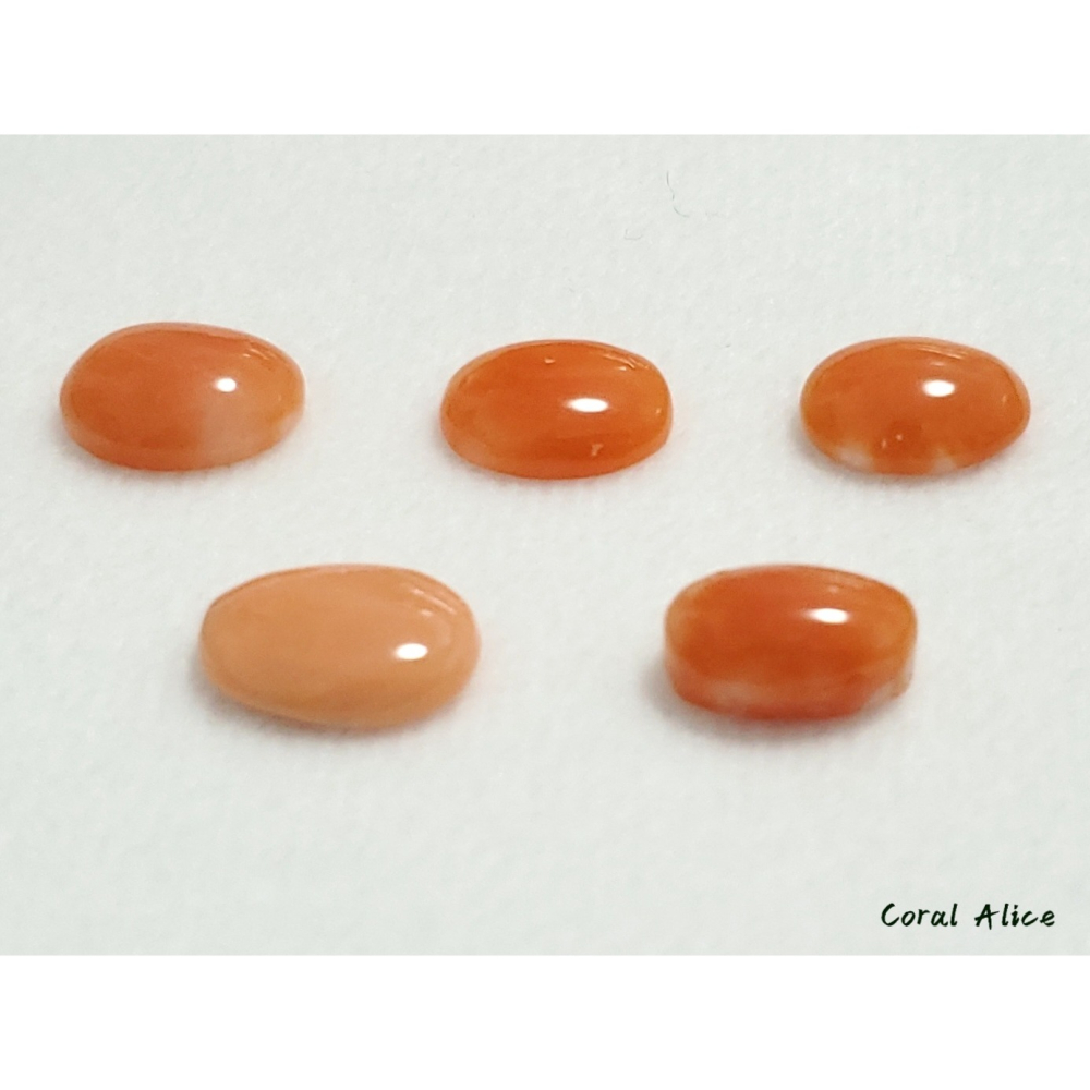 🌟Coral珊寶手作-天然阿卡珊瑚(淺色)蛋面裸石 10.8-11.2mm CO2P1-376-細節圖7