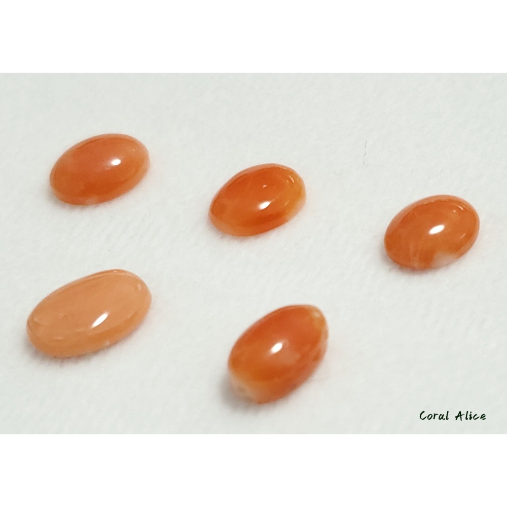 🌟Coral珊寶手作-天然阿卡珊瑚(淺色)蛋面裸石 10.8-11.2mm CO2P1-376-細節圖8