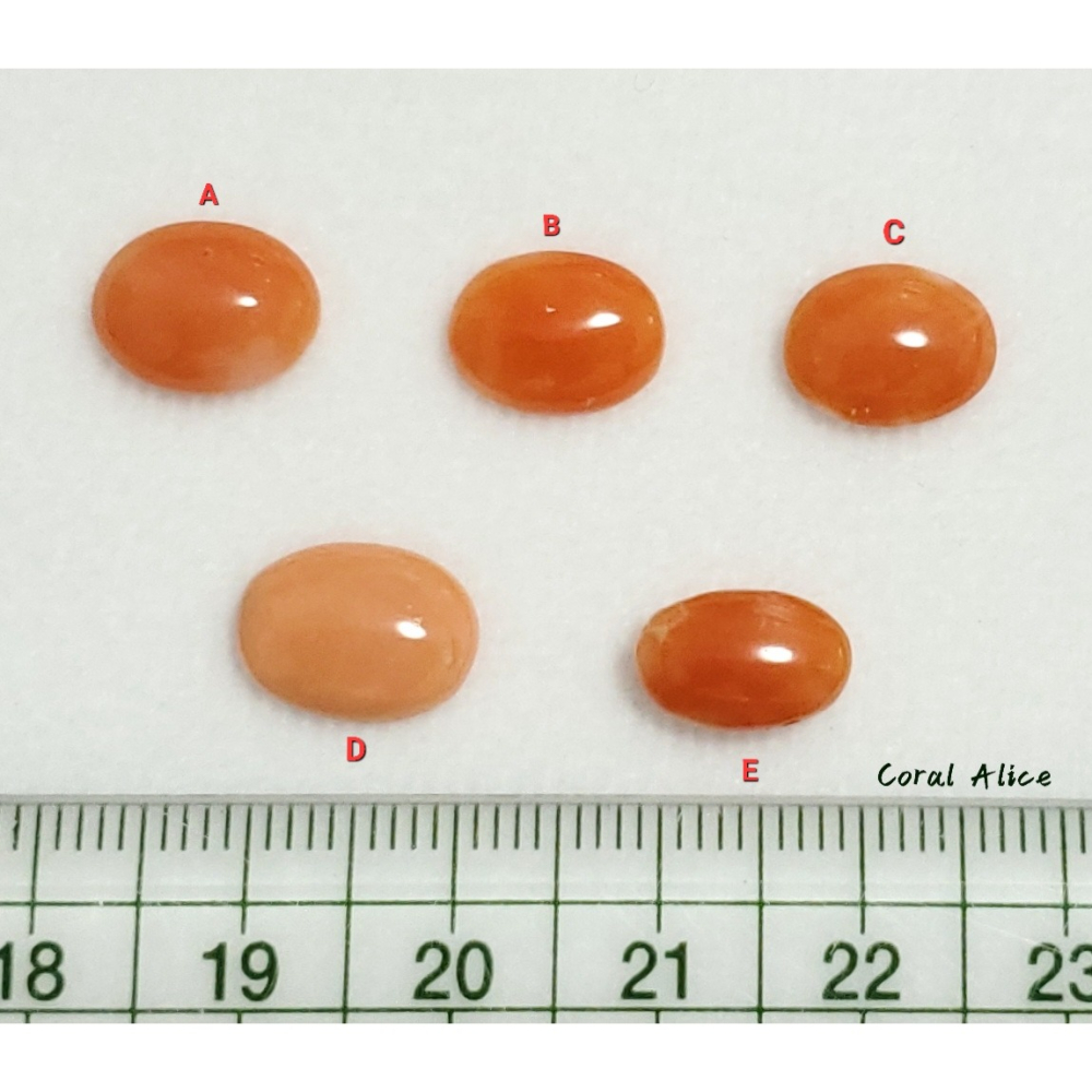 🌟Coral珊寶手作-天然阿卡珊瑚(淺色)蛋面裸石 10.8-11.2mm CO2P1-376-細節圖11