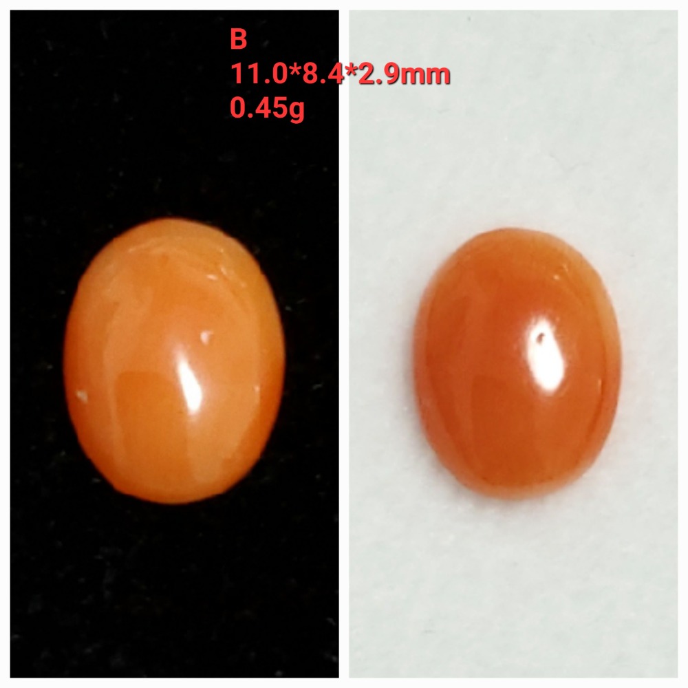 🌟Coral珊寶手作-天然阿卡珊瑚(淺色)蛋面裸石 10.8-11.2mm CO2P1-376-規格圖11