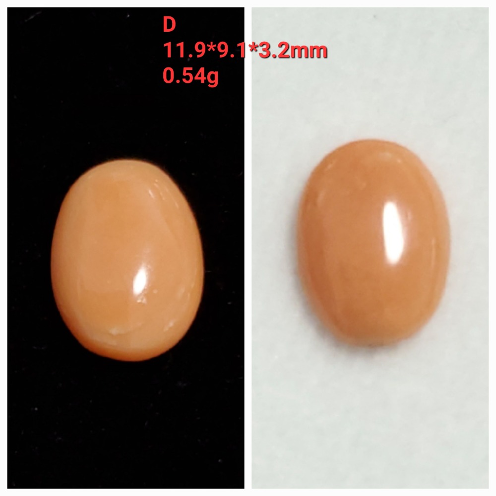 🌟Coral珊寶手作-天然阿卡珊瑚(淺色)蛋面裸石 10.8-11.2mm CO2P1-376-規格圖11