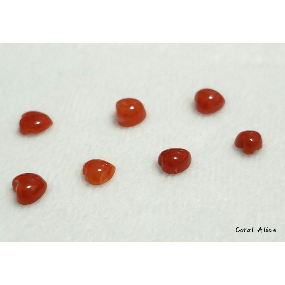 🌟Coral珊寶手作-天然阿卡珊瑚桃心(半面)裸石 4.8-5.9mm CO2P1-377-細節圖10