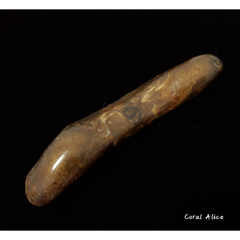 🌟Coral珊寶手作-天然赤金珊瑚/海柳自然枝 69.8mm CO2P1-812-細節圖3