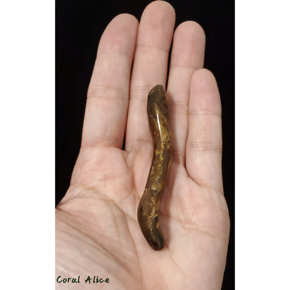 🌟Coral珊寶手作-天然赤金珊瑚/海柳自然枝 69.8mm CO2P1-812-細節圖4