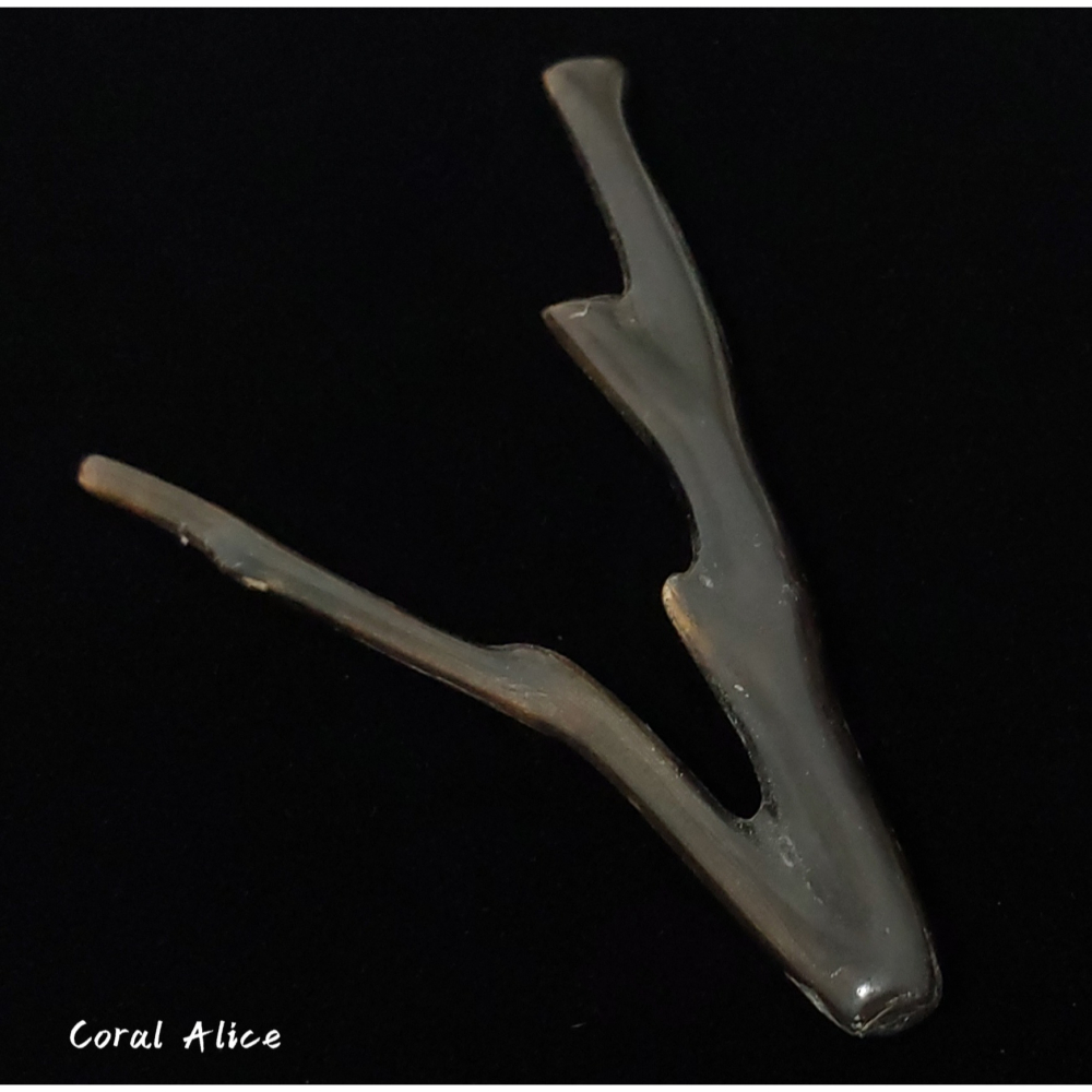 🌟Coral珊寶手作-天然黑海柳自然枝 98.2mm CO2P1-827-細節圖2