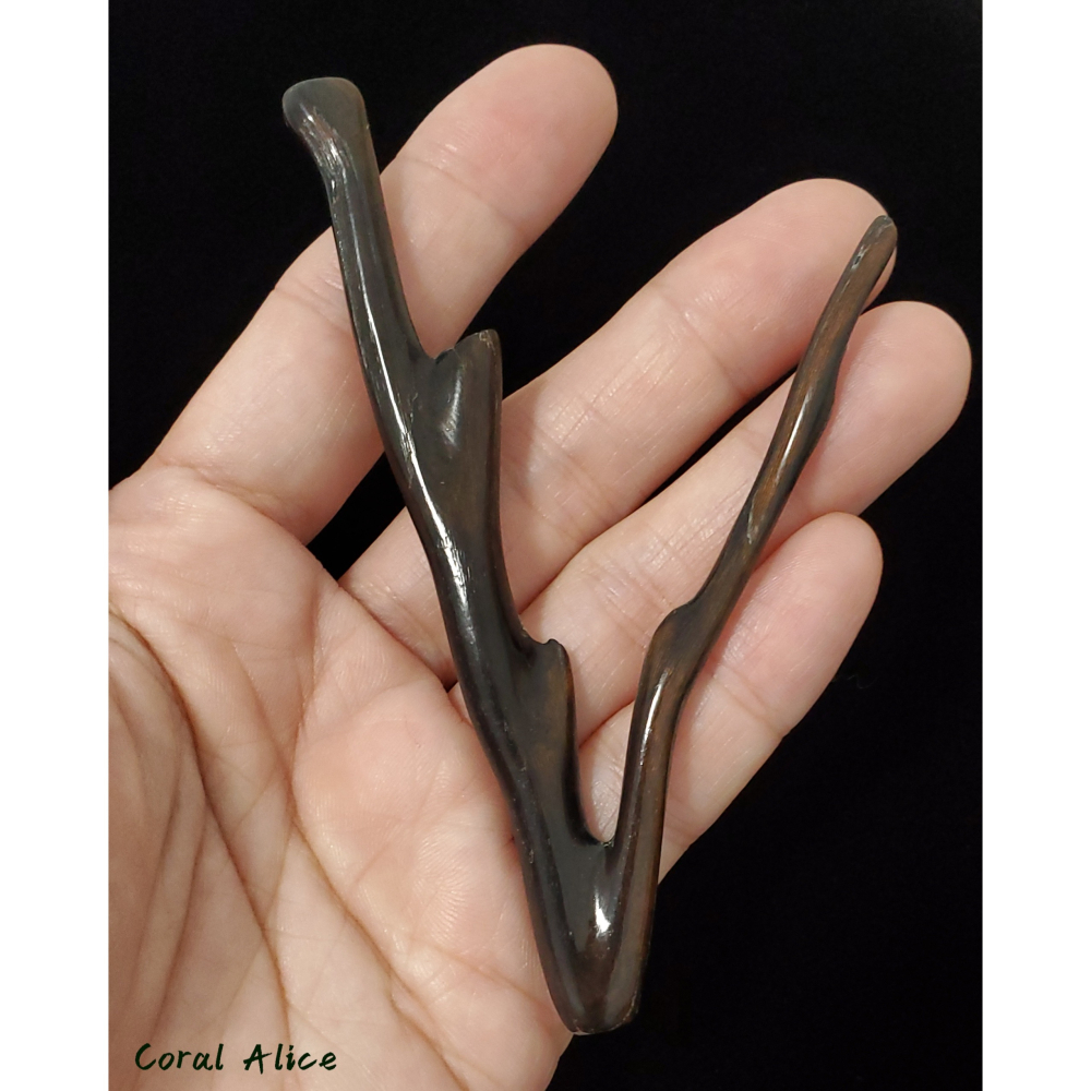 🌟Coral珊寶手作-天然黑海柳自然枝 98.2mm CO2P1-827-細節圖3