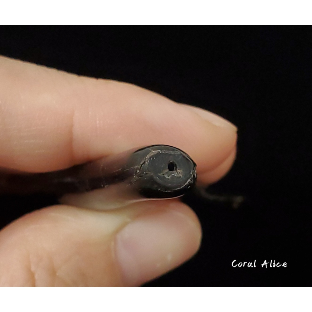 🌟Coral珊寶手作-天然黑海柳自然枝 98.2mm CO2P1-827-細節圖4