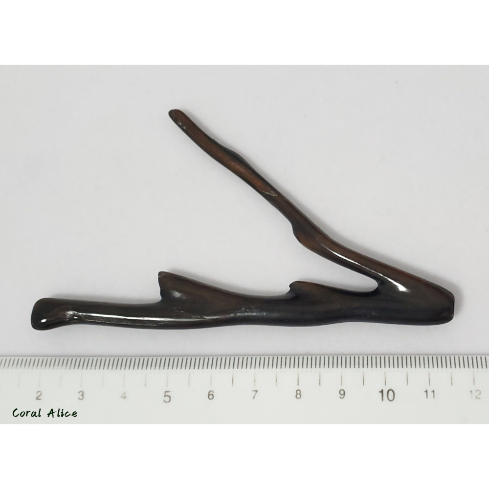 🌟Coral珊寶手作-天然黑海柳自然枝 98.2mm CO2P1-827-細節圖8