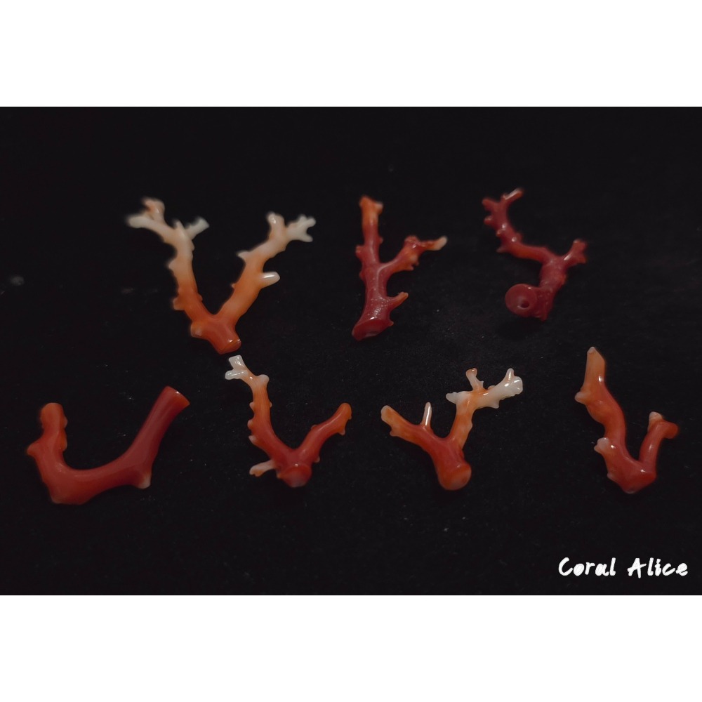 🌟Coral珊寶手作-天然阿卡珊瑚自然枝 CO2P15202-細節圖3