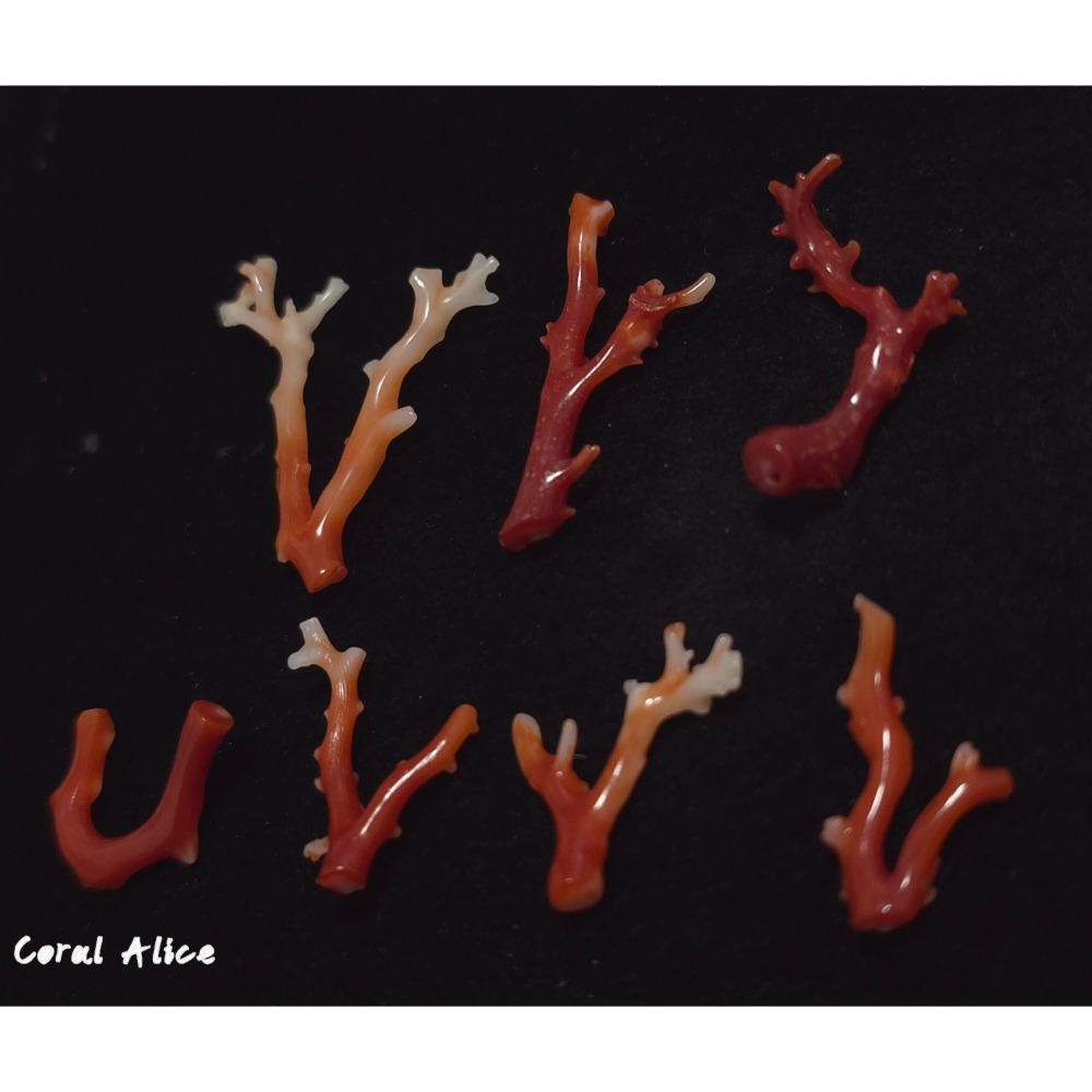 🌟Coral珊寶手作-天然阿卡珊瑚自然枝 CO2P15202-細節圖4