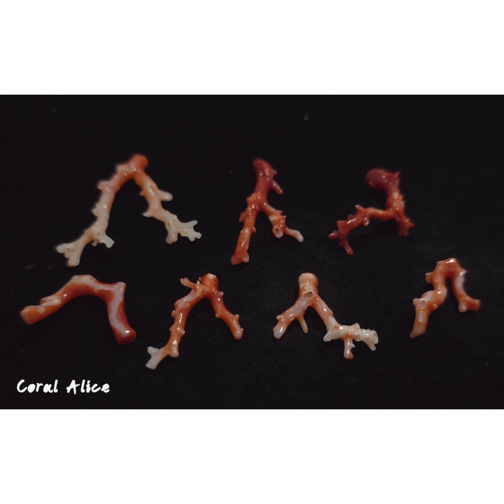 🌟Coral珊寶手作-天然阿卡珊瑚自然枝 CO2P15202-細節圖5