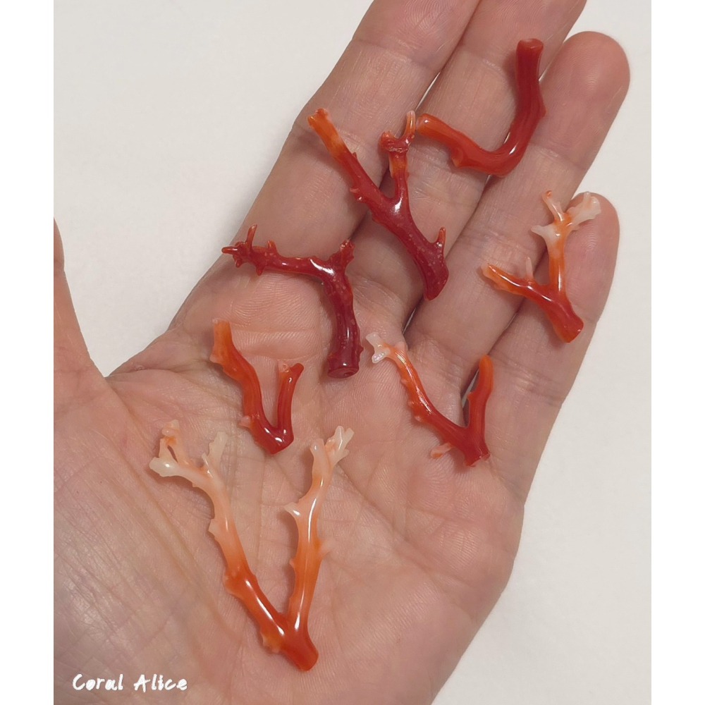 🌟Coral珊寶手作-天然阿卡珊瑚自然枝 CO2P15202-細節圖7
