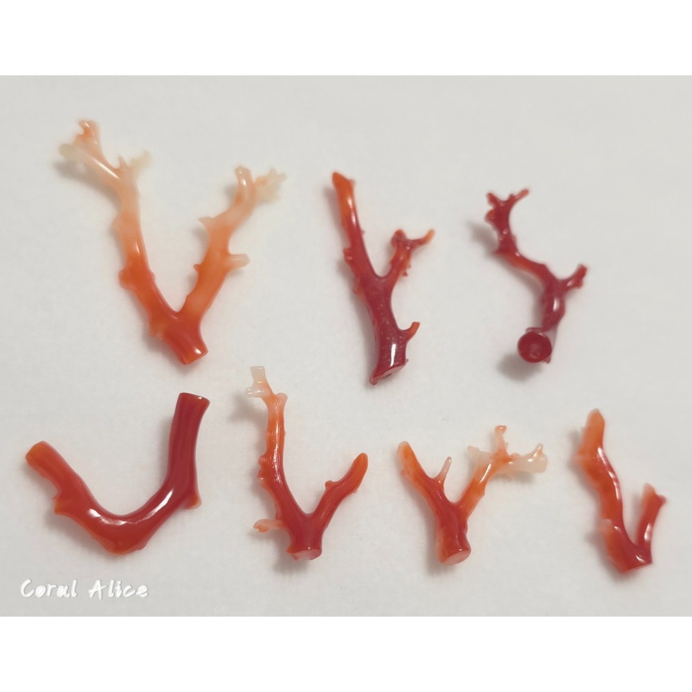 🌟Coral珊寶手作-天然阿卡珊瑚自然枝 CO2P15202-細節圖8
