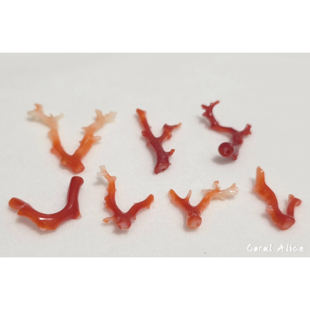 🌟Coral珊寶手作-天然阿卡珊瑚自然枝 CO2P15202-細節圖9