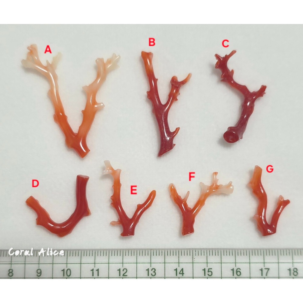 🌟Coral珊寶手作-天然阿卡珊瑚自然枝 CO2P15202-細節圖11