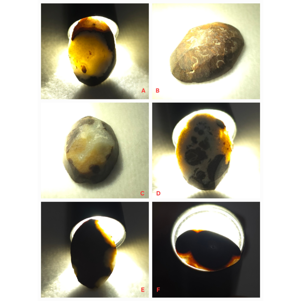 🌟Coral珊寶手作-天然澎湖文石蛋面裸石(粗胚) JD2P1-825-細節圖5