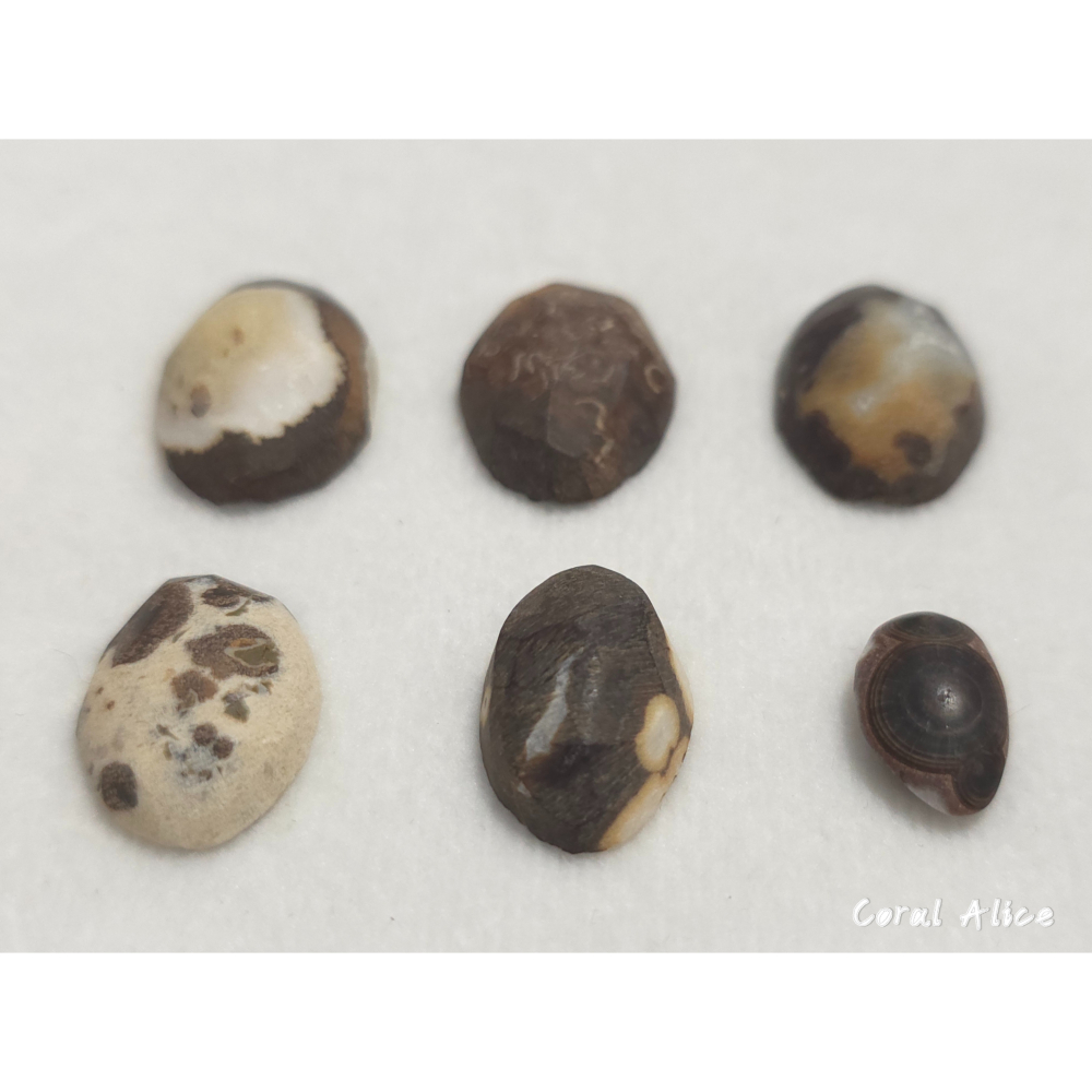 🌟Coral珊寶手作-天然澎湖文石蛋面裸石(粗胚) JD2P1-825-細節圖8