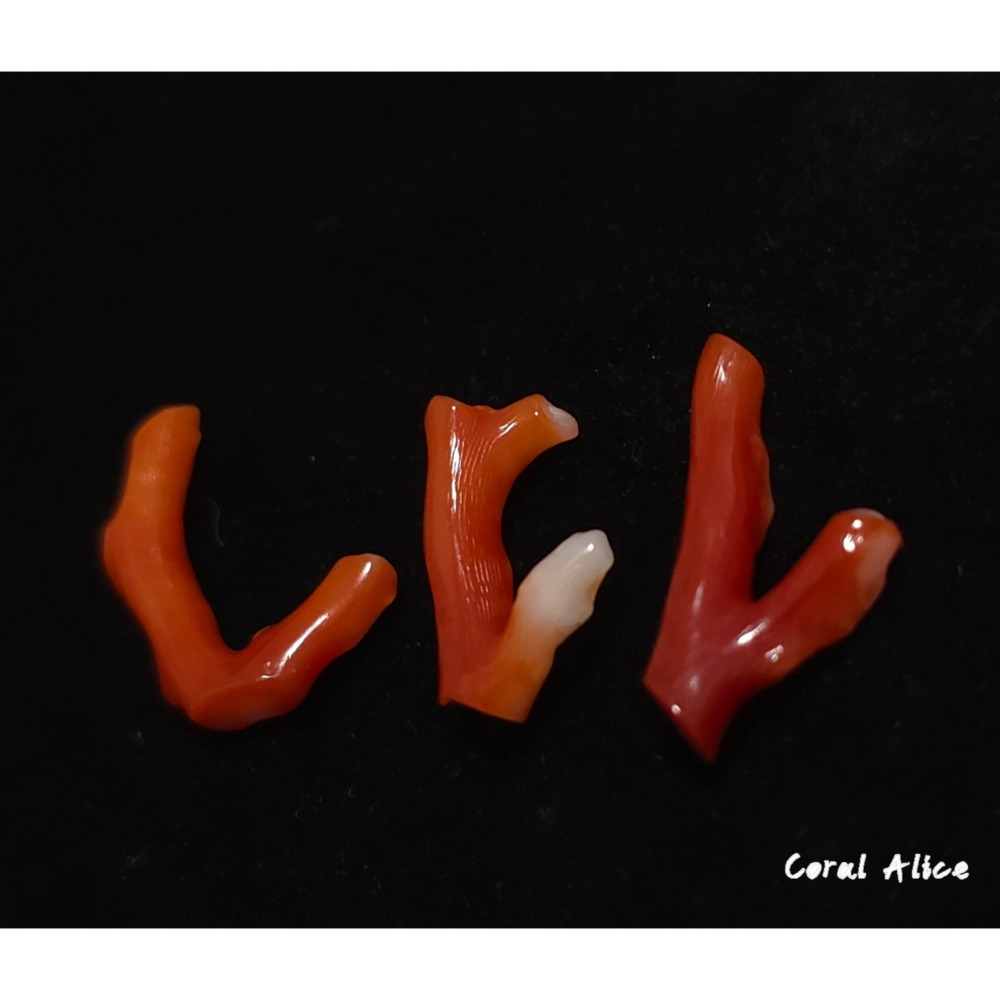 🌟Coral珊寶手作-天然阿卡珊瑚自然枝 CO2P15219-細節圖3