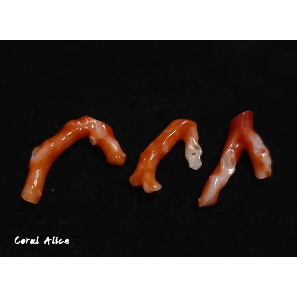 🌟Coral珊寶手作-天然阿卡珊瑚自然枝 CO2P15219-細節圖4