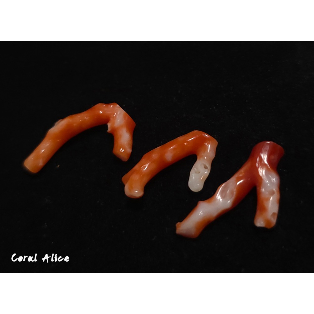 🌟Coral珊寶手作-天然阿卡珊瑚自然枝 CO2P15219-細節圖5