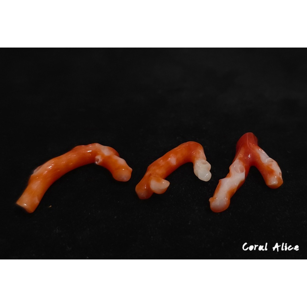 🌟Coral珊寶手作-天然阿卡珊瑚自然枝 CO2P15219-細節圖6