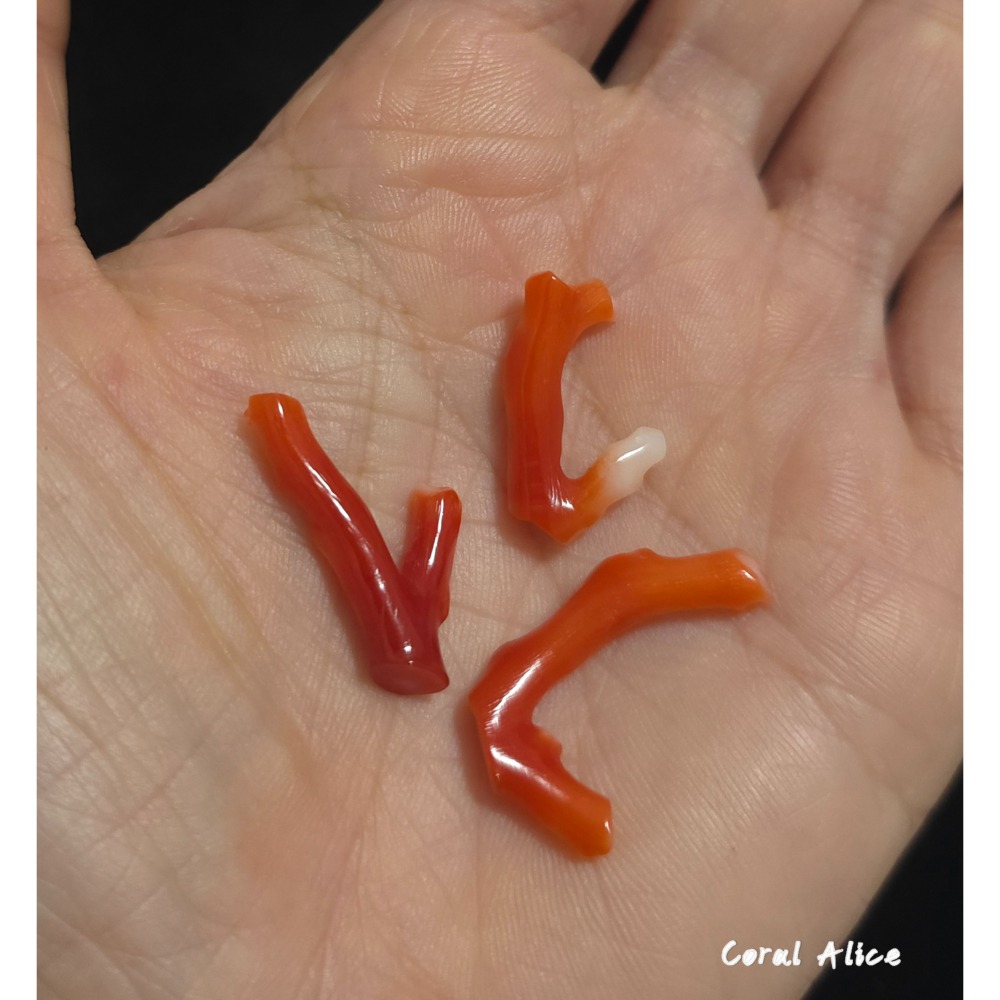 🌟Coral珊寶手作-天然阿卡珊瑚自然枝 CO2P15219-細節圖7