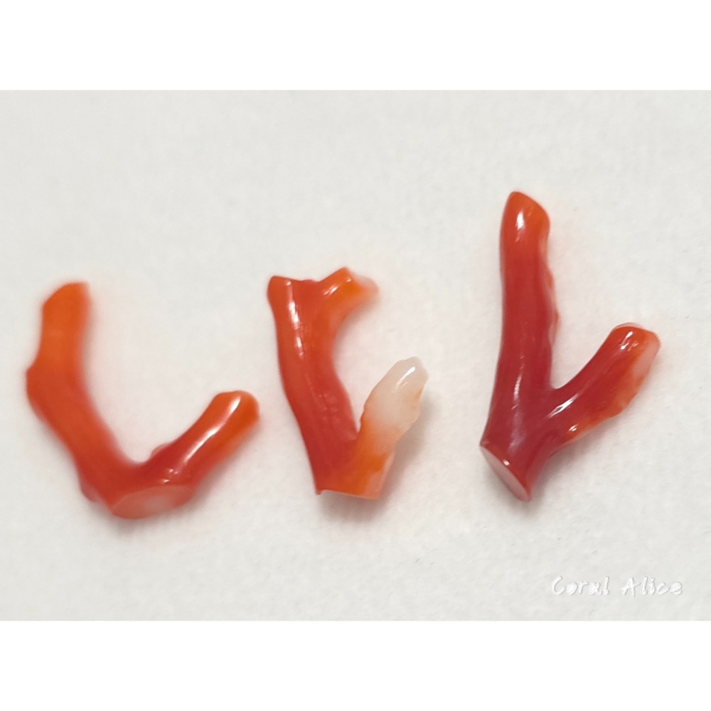 🌟Coral珊寶手作-天然阿卡珊瑚自然枝 CO2P15219-細節圖8
