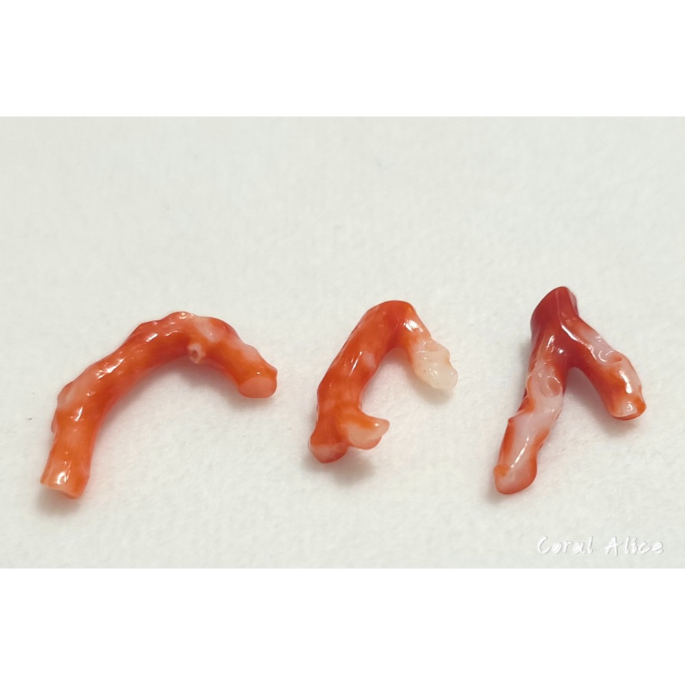 🌟Coral珊寶手作-天然阿卡珊瑚自然枝 CO2P15219-細節圖10