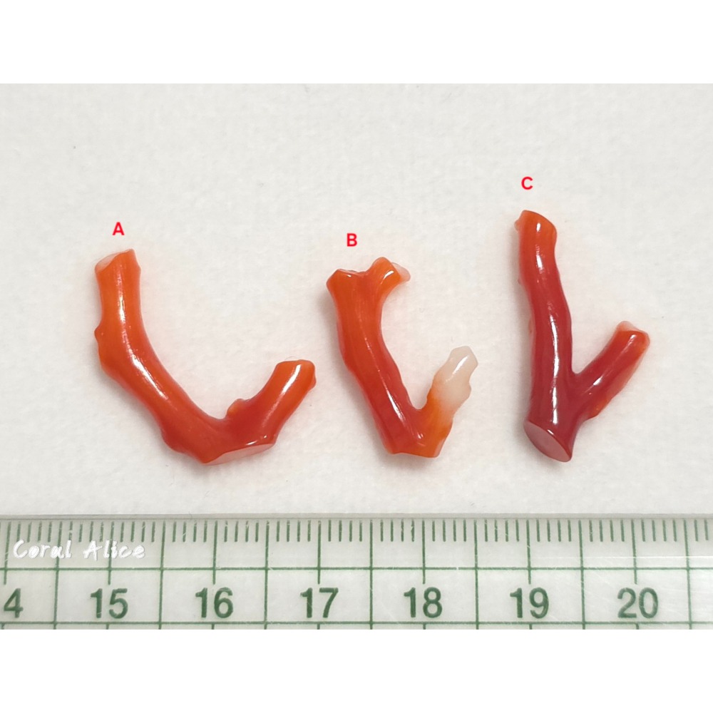 🌟Coral珊寶手作-天然阿卡珊瑚自然枝 CO2P15219-細節圖11