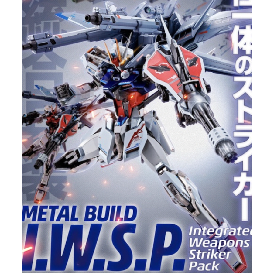 保存状態良好☆ 【未開封】METAL BUILD I.W.S.P. | www.solar-laser.com