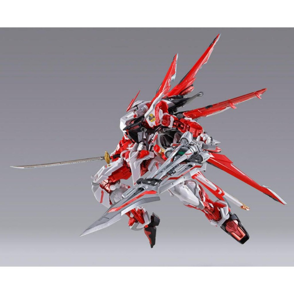 ＝逆襲的哈囉＝METAL BUILD MB 異端 鋼彈 飛行 背包 ALTERNATIVE STRIKE Ver.-細節圖4