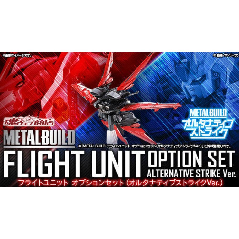 ＝逆襲的哈囉＝METAL BUILD MB 異端 鋼彈 飛行 背包 ALTERNATIVE STRIKE Ver.-細節圖6