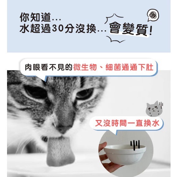 貓樂園 飲水好妙招 新鮮好喵招 犬貓適用 寵物飼料保鮮活性碳 活性碳片 飲水清淨活性碳 淨水活性碳片-細節圖4