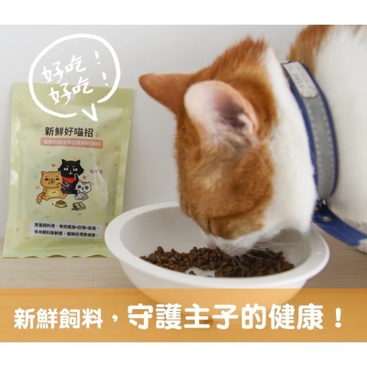 貓樂園 飲水好妙招 新鮮好喵招 犬貓適用 寵物飼料保鮮活性碳 活性碳片 飲水清淨活性碳 淨水活性碳片-細節圖5